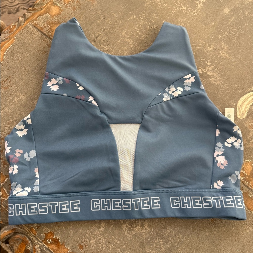The Chestee bra size 8 (pads not included)